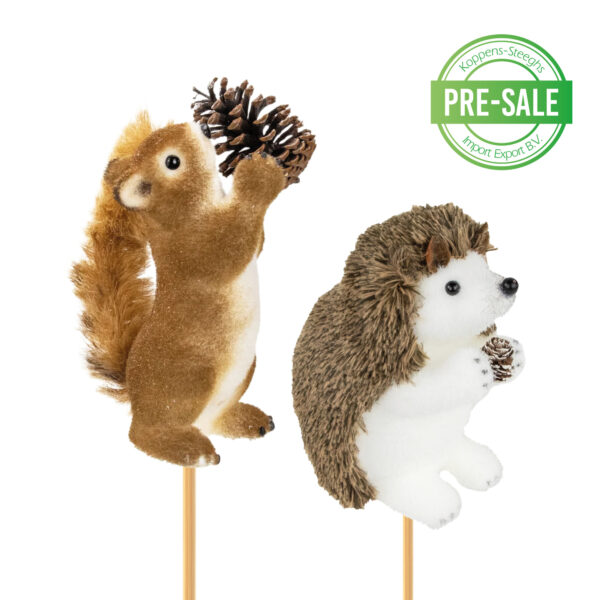 Eekhoorn en egel | Squirrel and hedgehog