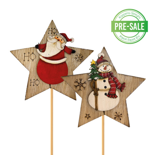 Kerst ster met illustratie | Christmas star with illustration