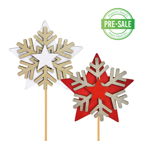 Sneeuwvlok kerstster | Snowflake christmas star